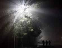 《雾》 蒋率 （摄于2009年） 晚自习过后，同学们在夜幕中返回宿舍 