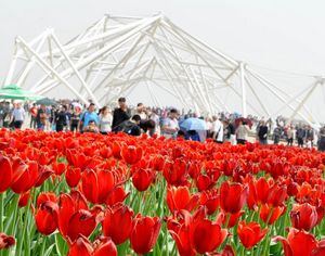 Всемирная выставка садово-паркового искусства Сиань-2011 распахнула свои двери для посетителей 
