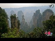 «Чжанцзяцзе» расположен на северо-западе провинции Хунань. В сентябре 1982 года «Чжанцзяцзе» стал первым в Китае государственным лесопарком.
