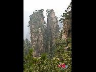 В 1992 году природная живописная зона «Улинъюань», состоящая из государственного лесопарка «Чжанцзяцзе», живописной зоны «Сосиюй» и живописной зоны «Тяньцзышань», была включена ЮНЕСКО в Реестр объектов всемирного природного наследия. 