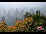 «Чжанцзяцзе» расположен на северо-западе провинции Хунань. В сентябре 1982 года «Чжанцзяцзе» стал первым в Китае государственным лесопарком.