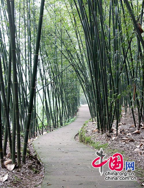Земной рай – живописный район Сыдунгоу провинции Гуйчжоу 