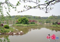 Парк сакуры «Дунху» в городе Ухань