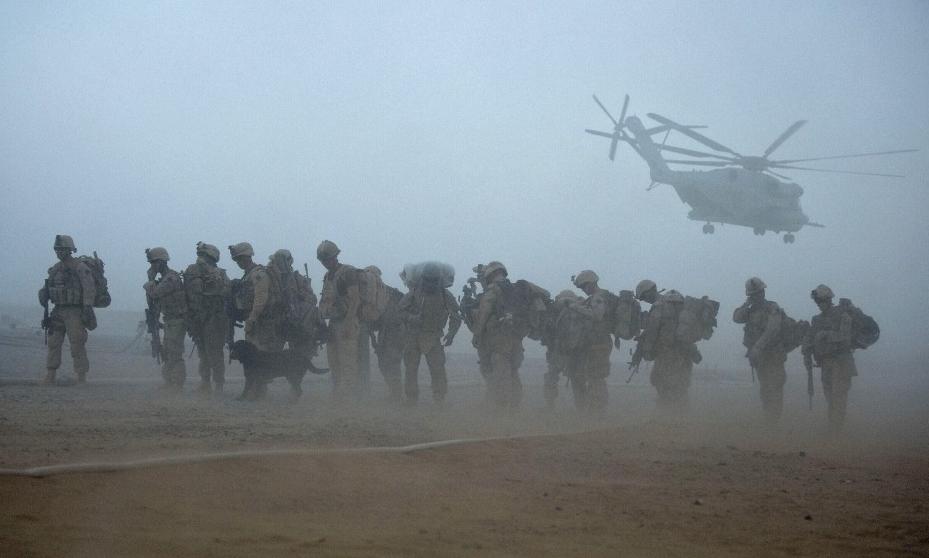 Военные собаки – верные друзья и достойные помощники человека 2