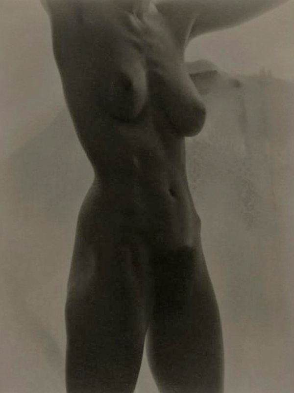 《Georgia O’Keeffe Nude 》(1919)，Альфред Стиглиц. Аукцион Sotheby&apos;s в Нью-Йорке в феврале 2006 года, 1,36 миллиона долларов