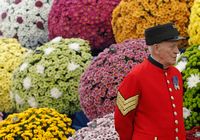 Выставка цветов в Челси