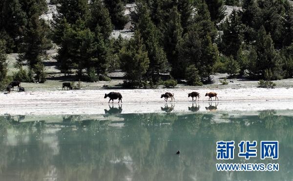 Тибет: красивые пейзажи озера Жаньуху 2