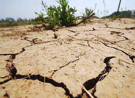 Правительство Китая финансирует пострадавшие от засухи районы