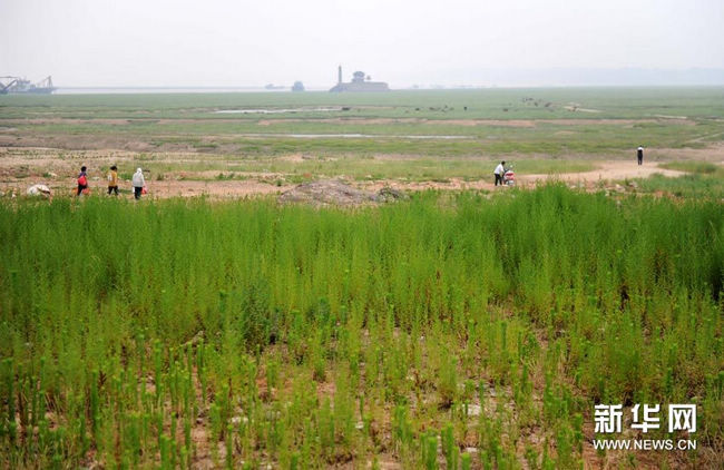 Самое большое пресноводное озеро в Китае пострадало от серьезной засухи
