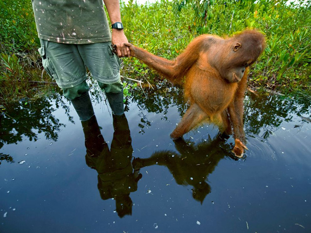 Очередные фотошедевры от «National Geographic&apos;s» 