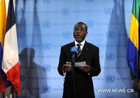 СБ ООН рекомендовал Пан Ги Муна на новый пятилетний срок полномочий