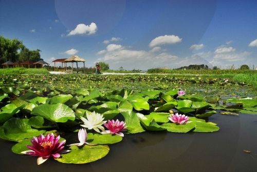 Прекрасные летние пейзажи Южной Кореи 