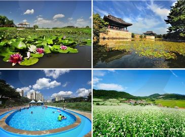Прекрасные летние пейзажи Южной Кореи