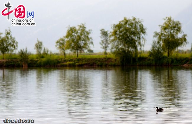 Фотофестиваль «Зеленый Пекин» состоялся на днях в пригороде столицы КНР. В нем приняло участие около 30 иностранных фотографов, работающих в китайских СМИ.