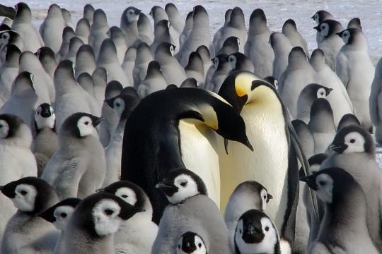 25 кадров фотолирики