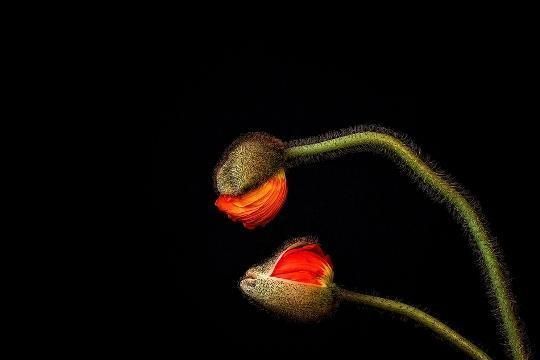 25 кадров фотолирики