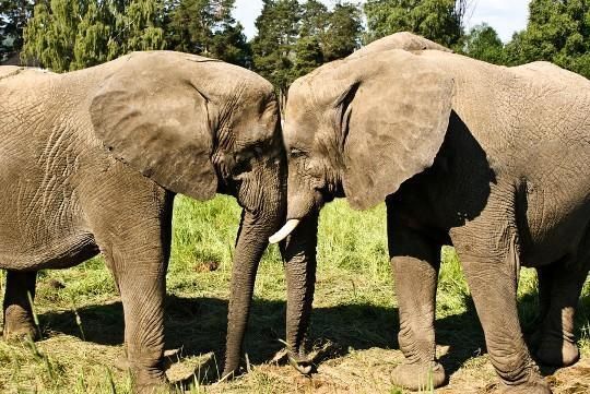 25 кадров фотолирики