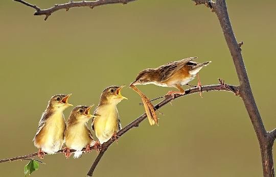 25 кадров фотолирики