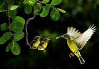 25 кадров фотолирики