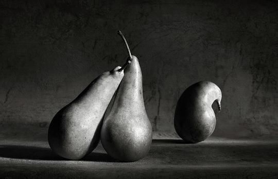 25 кадров фотолирики