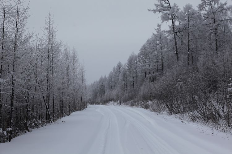 Красота раойна Хулунбэир