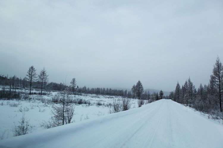 Красота раойна Хулунбэир