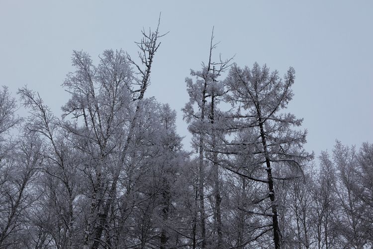 Красота раойна Хулунбэир