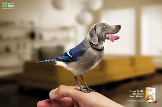 Интересная реклама с животными 9