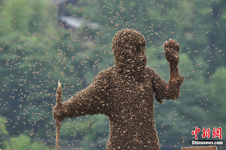 16 июля 20-летний «человек-пчела» Лю Кунцзян из города Юнчжоу провинции Хунань и 42-летний «человек-пчела» Ван Далинь из города Ичан провинции Хубэй устроили состязания, призывая пчел. 