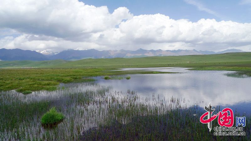 Водно-болотные угодья «Хуахай Юаньян» в провинции Цинхай