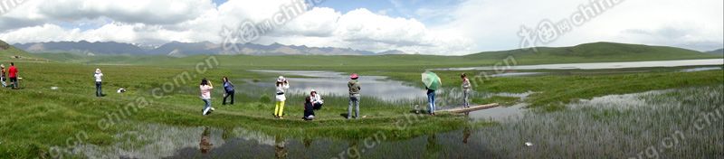 Водно-болотные угодья «Хуахай Юаньян» в провинции Цинхай