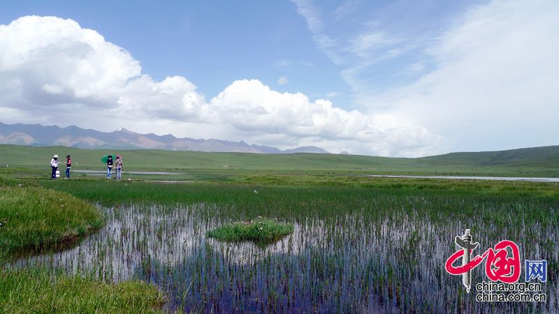 Водно-болотные угодья «Хуахай Юаньян» в провинции Цинхай