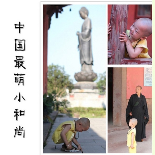 Самый маленький и симпатичный «монах» в Китае1