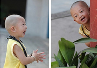 Самый маленький и симпатичный «монах» в Китае4