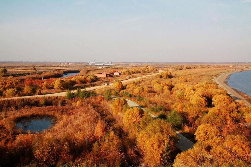 Чарующий остров Хэйсяцзы (Большой Уссурийский)