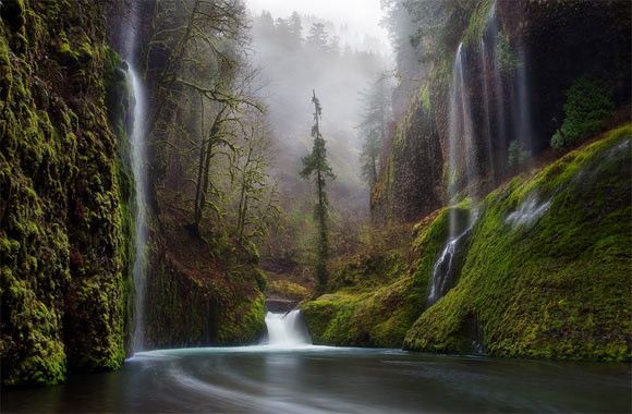 Прекрасные пейзажи в тумане 