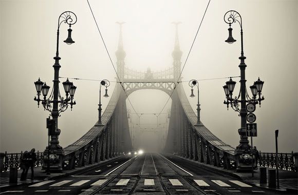 Прекрасные пейзажи в тумане 