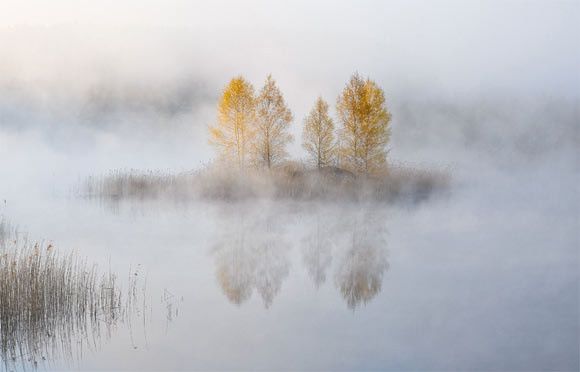 Прекрасные пейзажи в тумане 