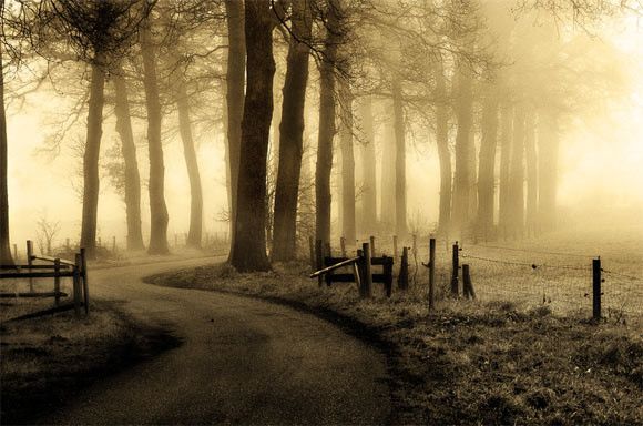 Прекрасные пейзажи в тумане 