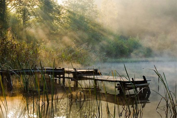 Прекрасные пейзажи в тумане 