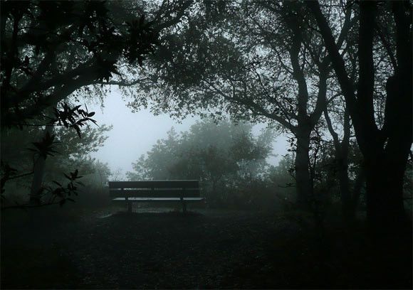 Прекрасные пейзажи в тумане 