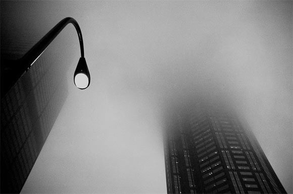 Прекрасные пейзажи в тумане 