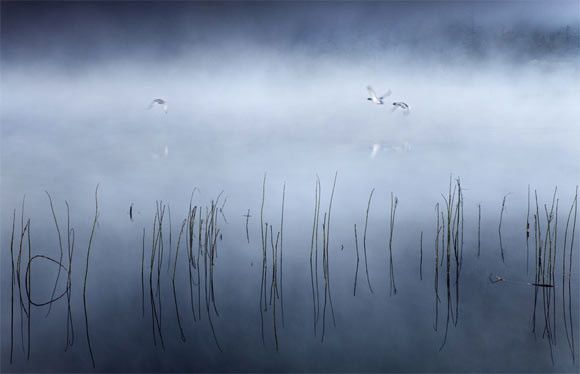 Прекрасные пейзажи в тумане 