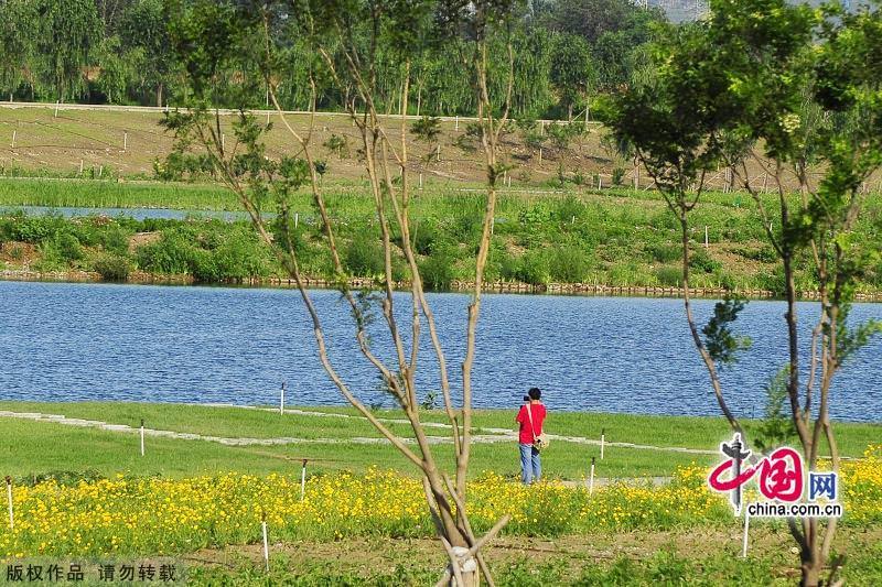 Культурный парк реки Юндинхэ на западе Пекина