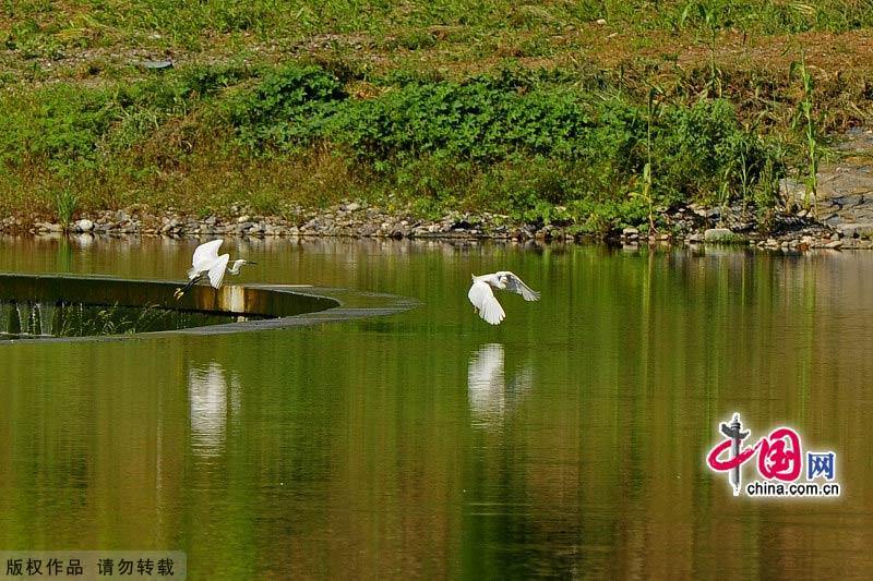 Культурный парк реки Юндинхэ на западе Пекина