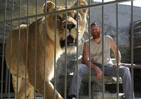 Хозяин зоопарка живет со львами для сбора денег