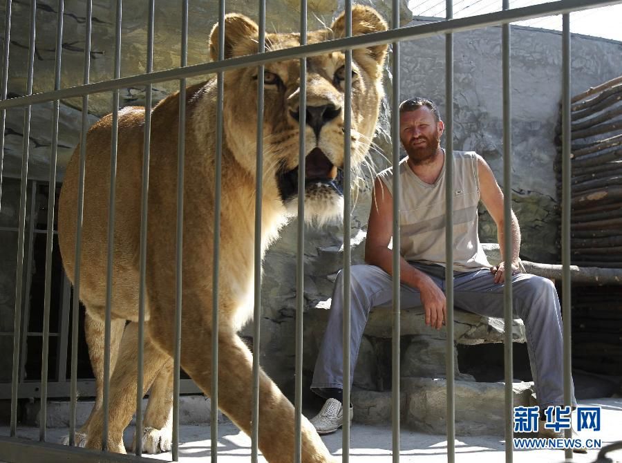 Хозяин зоопарка живет со львами для сбора денег