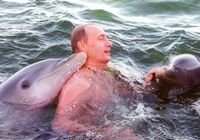 Симпатичные мимики у Путина