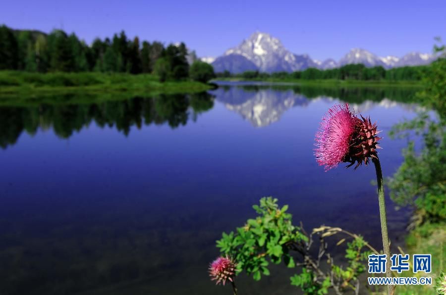 Национальный парк «Grand Teton» - один из самых красивых в мире2