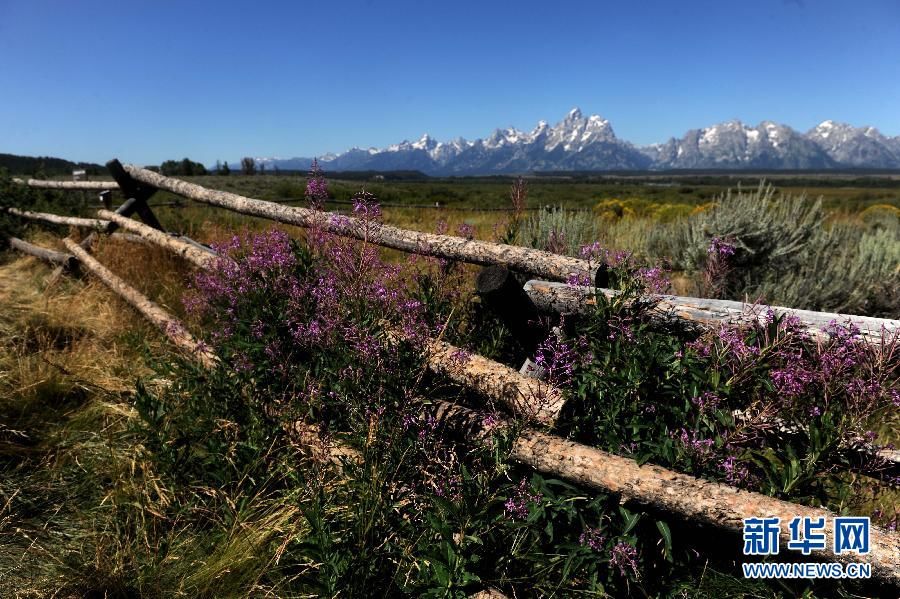 Национальный парк «Grand Teton» - один из самых красивых в мире5